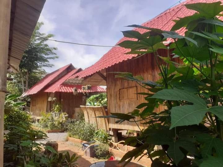 Odambang Village Homestay Battambang Exterior photo