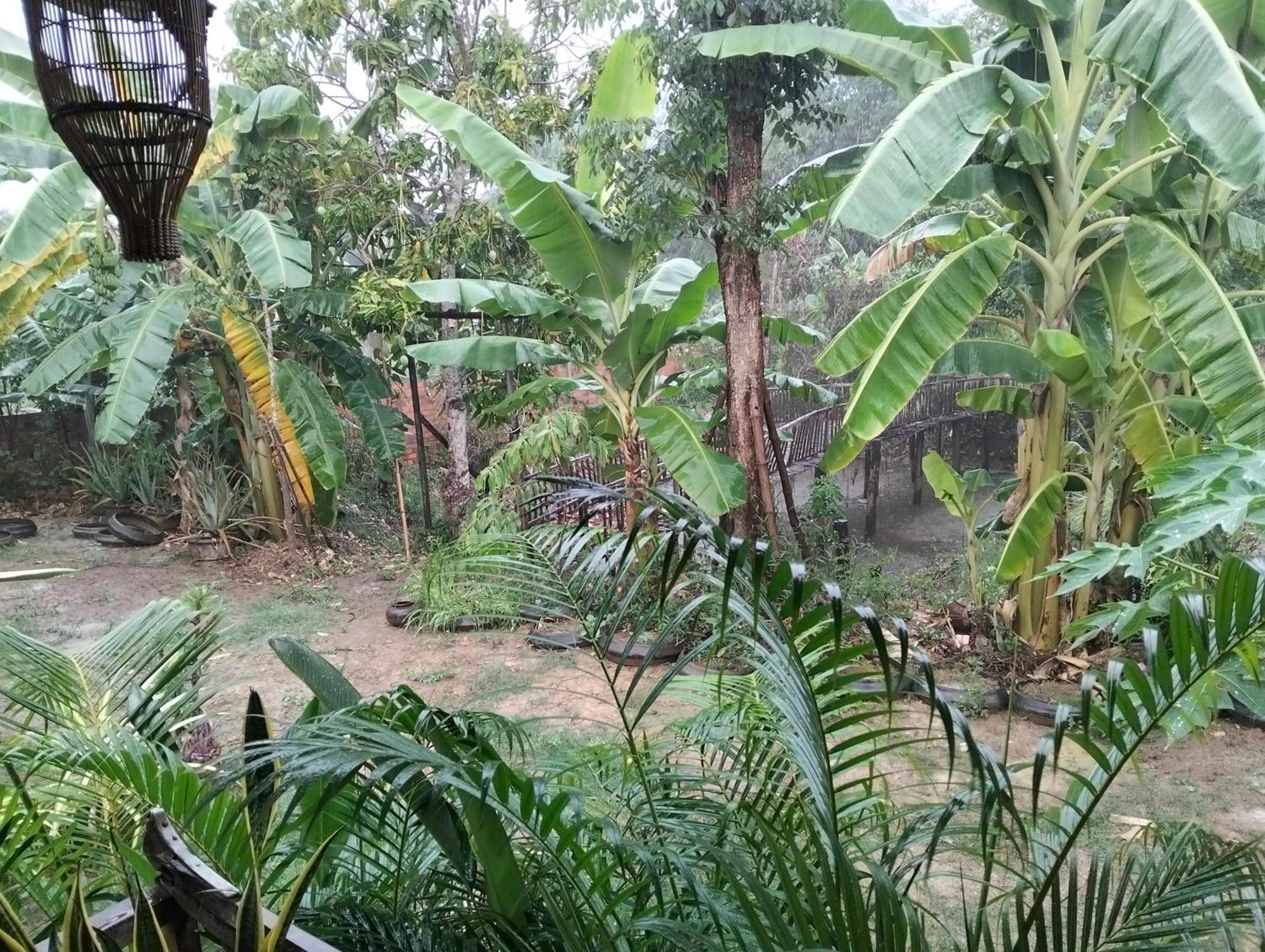 Odambang Village Homestay Battambang Exterior photo